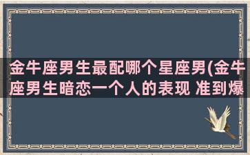 金牛座男生最配哪个星座男(金牛座男生暗恋一个人的表现 准到爆)